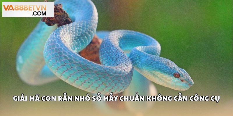 Con Rắn Nhỏ Số Mấy? Giải Mã Điềm Báo Bộ Số May Mắn Tại VA88 - savin
