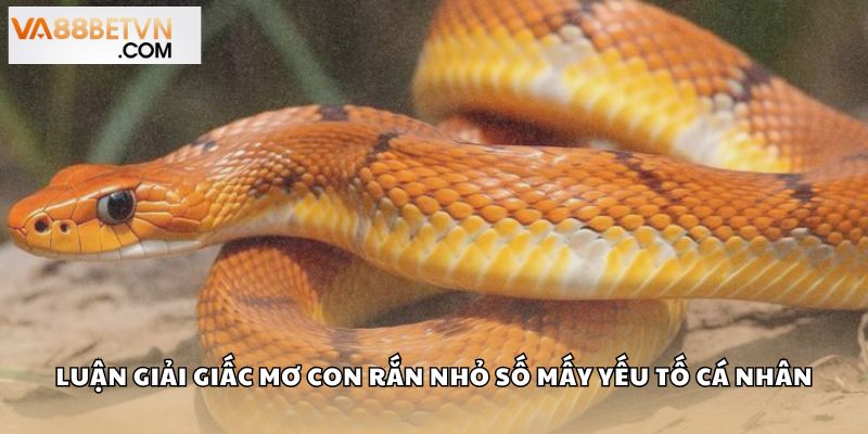 Con Rắn Nhỏ Số Mấy? Giải Mã Điềm Báo Bộ Số May Mắn Tại VA88 - savin