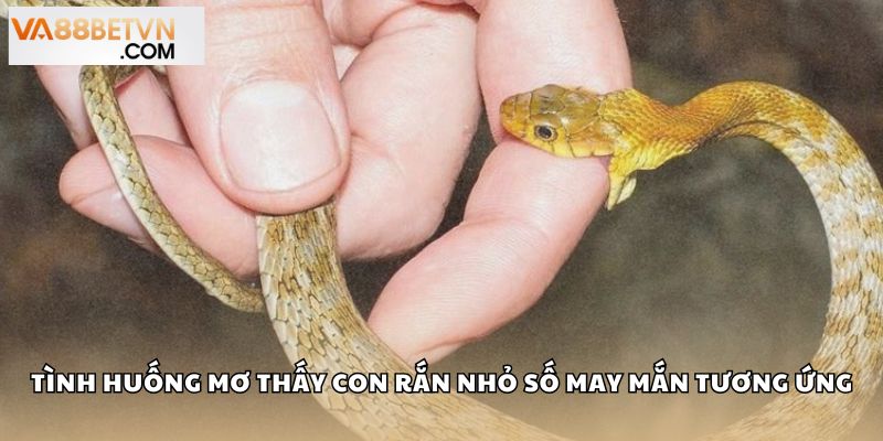 Con Rắn Nhỏ Số Mấy? Giải Mã Điềm Báo Bộ Số May Mắn Tại VA88 - savin