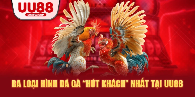 Đá Gà UU88 – Sảnh Giải Trí Thượng Hạng Cho Kê Thủ - savin