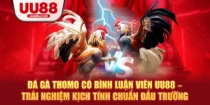 Đá Gà UU88 – Sảnh Giải Trí Thượng Hạng Cho Kê Thủ - savin
