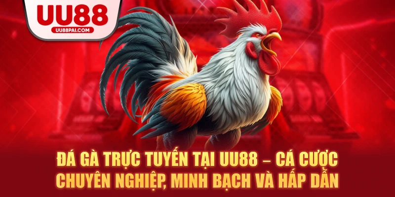 Đá gà trực tuyến tại UU88 – Cá cược chuyên nghiệp, minh bạch và hấp dẫn - savin