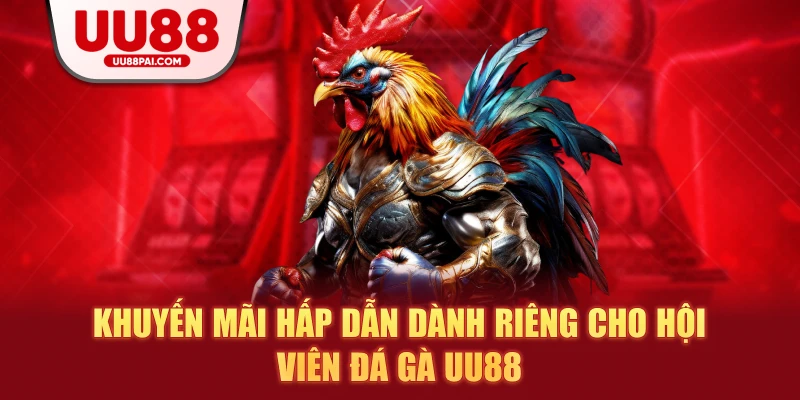 Đá Gà UU88 – Sảnh Giải Trí Thượng Hạng Cho Kê Thủ - savin