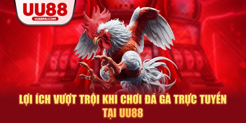 Đá gà trực tuyến tại UU88 – Cá cược chuyên nghiệp, minh bạch và hấp dẫn - savin