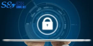 Blog S8 và vai trò trong hành trình trải nghiệm của hội viên - savin