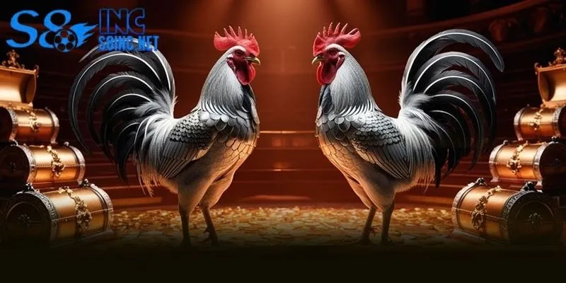 Mẹo Chơi Đá Gà Chuẩn Cao Thủ - Bứt Phá Lợi Nhuận Bất Ngờ - savin