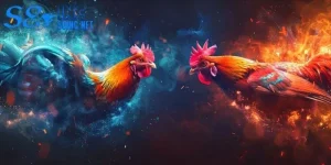 Đá Gà S8 - Đấu Trường Chiến Kê Nảy Lửa, Kịch Tính - savin