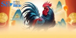 Đá Gà S8 - Đấu Trường Chiến Kê Nảy Lửa, Kịch Tính - savin