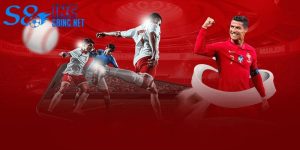 Blog S8 và vai trò trong hành trình trải nghiệm của hội viên - savin
