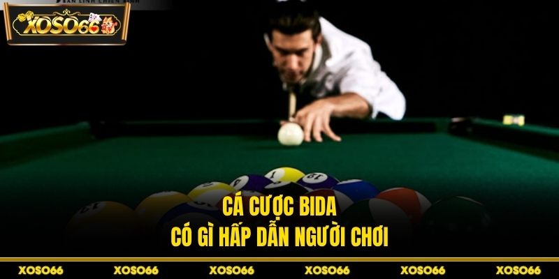 Cá Cược Bida XOSO66 - Kinh Nghiệm Chơi Hiệu Quả An Toàn - savin
