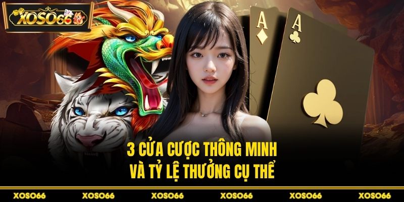 Cách Chơi Rồng Hổ Luôn Thắng XOSO66 - Kinh Nghiệm Hay - savin