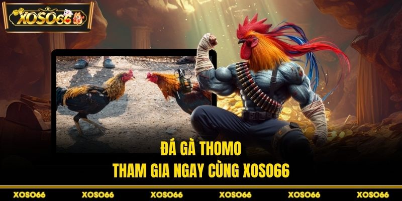 Bắn Cá Bingo XOSO66 – Trải Nghiệm Săn Thưởng Đỉnh Cao - savin