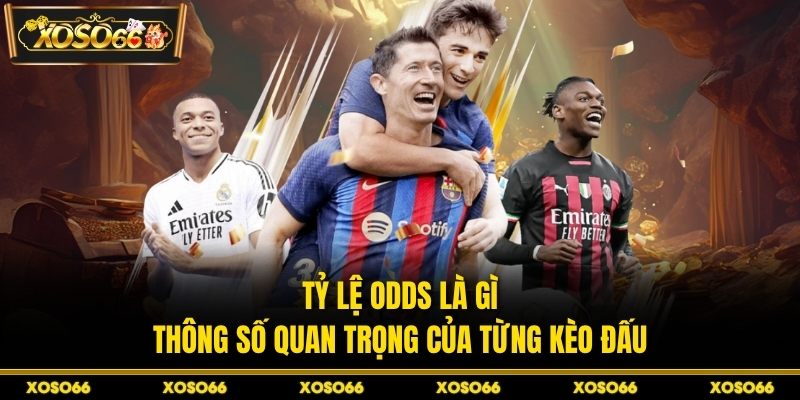 Tỷ Lệ Odds Là Gì? Hiểu Chi Tiết, Cược Hiệu Quả Tại XOSO66 - savin