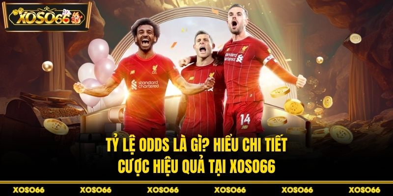 Tỷ Lệ Odds Là Gì? Hiểu Chi Tiết, Cược Hiệu Quả Tại XOSO66 - savin
